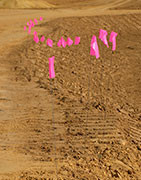 Marking and signage products